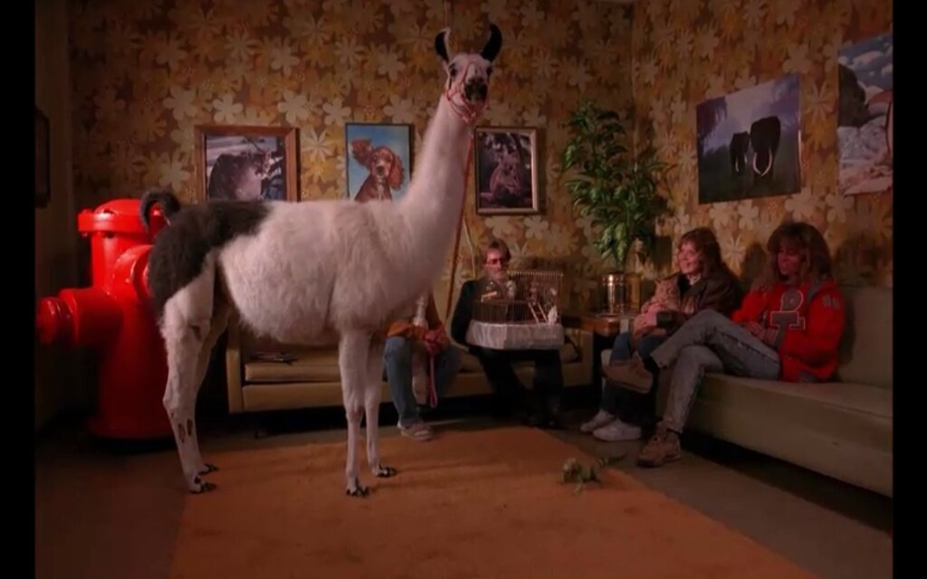 Lhama em Twin Peaks